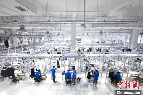 阿里動(dòng)物園新成員 杭州余杭誕生的數(shù)字技術(shù)智能服裝制造企業(yè)